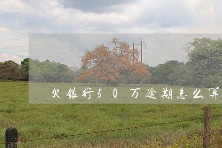 欠银行50万逾期怎么算违约金 欠银行50万逾期怎么算违约金