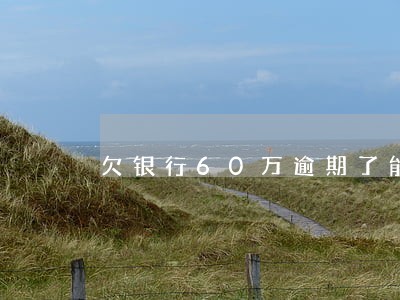欠银行60万逾期了能买火车票吗 欠银行60万逾期了能买火车票吗