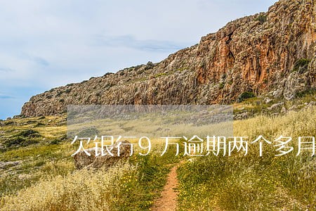 欠银行9万逾期两个多月了 欠银行9万逾期两个多月了