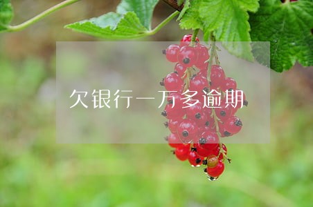 欠银行一万多逾期
