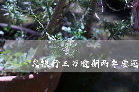 欠银行三万逾期两年要还多少 欠银行三万逾期两年要还多少