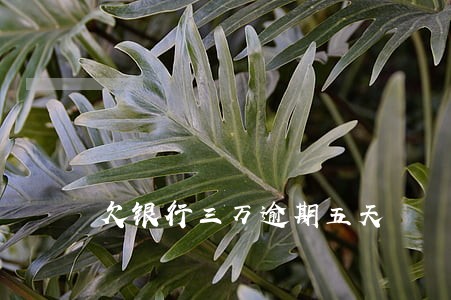 欠银行三万逾期五天 欠银行三万逾期五天