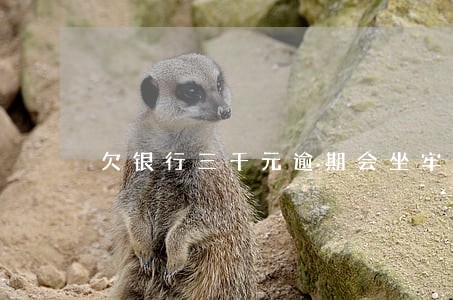 欠银行三千元逾期会坐牢吗 欠银行三千元逾期会坐牢吗