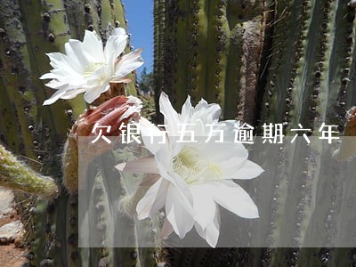 欠银行五万逾期六年 欠银行五万逾期六年