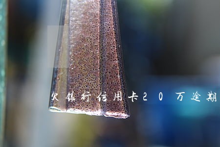 欠银行信用卡20万逾期怎么办 欠银行信用卡20万逾期怎么办