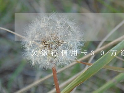 欠银行信用卡30万逾期 欠银行信用卡30万逾期