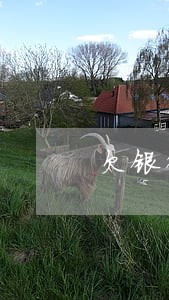 欠银行信用卡一万多逾期7个月