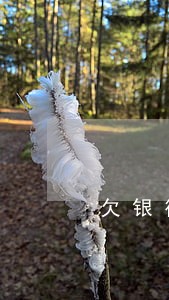 欠银行几十万逾期技巧 欠银行几十万逾期技巧