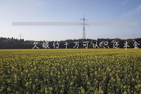 欠银行十万可以只还本金吗 欠银行十万可以只还本金吗