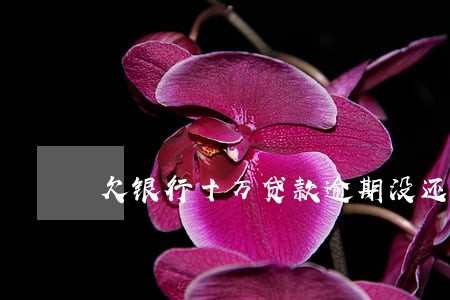 欠银行十万贷款逾期没还会怎样 欠银行十万贷款逾期没还会怎样