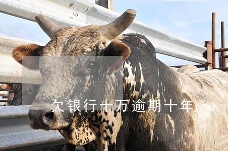 欠银行十万逾期十年