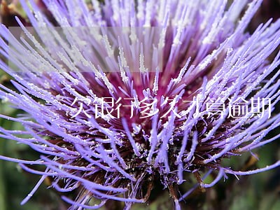欠银行多久才算逾期 欠银行多久才算逾期