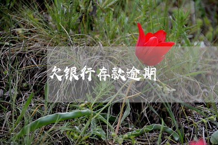 欠银行存款逾期 欠银行存款逾期