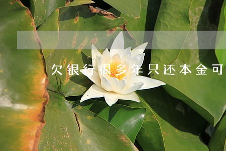 欠银行很多年只还本金可以吗 欠银行很多年只还本金可以吗