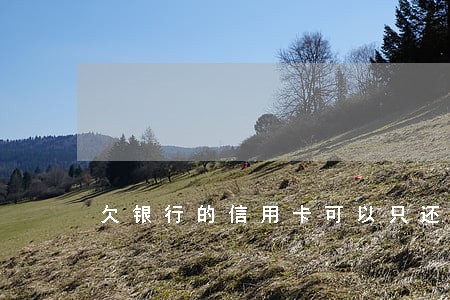 欠银行的信用卡可以只还本金吗 欠银行的信用卡可以只还本金吗