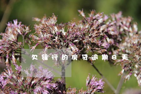 欠银行的房贷逾期8天 欠银行的房贷逾期8天