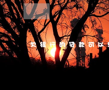 欠银行的贷款可以只还本金吗 欠银行的贷款可以只还本金吗
