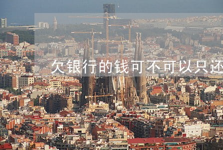 欠银行的钱可不可以只还本金 欠银行的钱可不可以只还本金