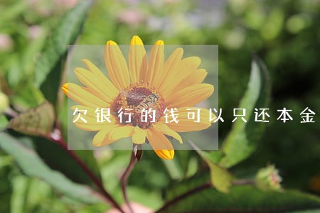 欠银行的钱可以只还本金不 欠银行的钱可以只还本金不