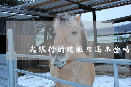 欠银行的钱能只还本金吗 欠银行的钱能只还本金吗