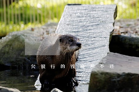 欠银行的钱逾期不还 欠银行的钱逾期不还