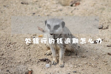 欠银行的钱逾期怎么办 欠银行的钱逾期怎么办