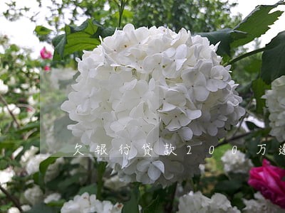 欠银行贷款200万逾期了 欠银行贷款200万逾期了
