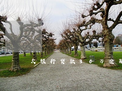 欠银行贷款30万逾期半年 欠银行贷款30万逾期半年