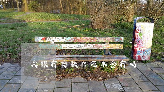 欠银行贷款只还本金行吗 欠银行贷款只还本金行吗