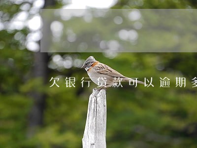 欠银行贷款可以逾期多久 欠银行贷款可以逾期多久