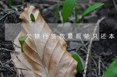 欠银行贷款最后能只还本金吗 欠银行贷款最后能只还本金吗