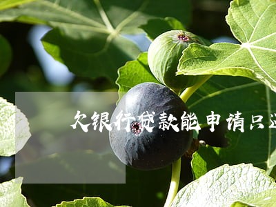 欠银行贷款能申请只还本金吗 欠银行贷款能申请只还本金吗