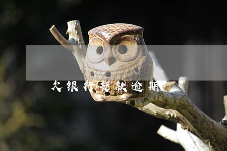 欠银行贷款逾期 欠银行贷款逾期