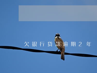 欠银行贷款逾期2年 欠银行贷款逾期2年