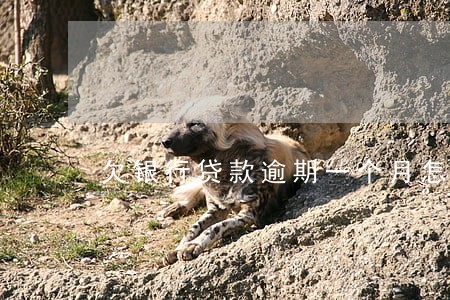 欠银行贷款逾期一个月怎么办 欠银行贷款逾期一个月怎么办