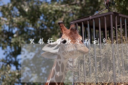 欠银行贷款逾期利息 欠银行贷款逾期利息