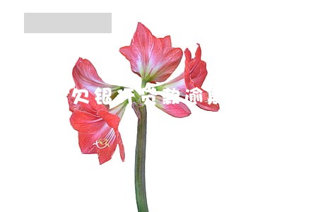 欠银行贷款逾期利息怎么算 欠银行贷款逾期利息怎么算