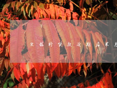 欠银行贷款逾期后果怎样 欠银行贷款逾期后果怎样