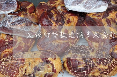 欠银行贷款逾期多久会起诉 欠银行贷款逾期多久会起诉