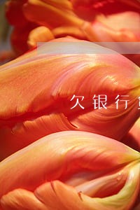 欠银行贷款逾期越滚越大 欠银行贷款逾期越滚越大
