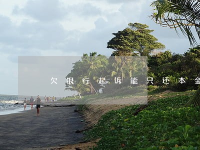 欠银行起诉能只还本金吗 欠银行起诉能只还本金吗