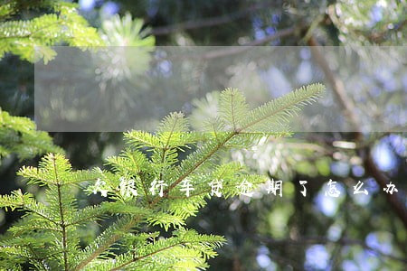 欠银行车贷逾期了怎么办 欠银行车贷逾期了怎么办