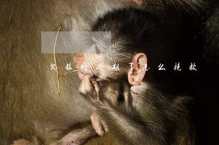 欠银行逾期了怎么挽救