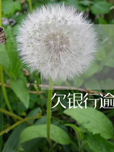 欠银行逾期怎么坐牢