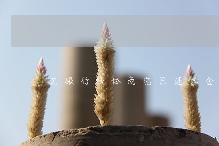 欠银行钱协商完只还本金 欠银行钱协商完只还本金