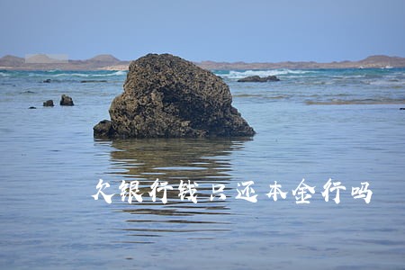 欠银行钱只还本金行吗 欠银行钱只还本金行吗