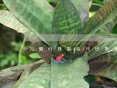 欠银行钱怎么只还本金 欠银行钱怎么只还本金