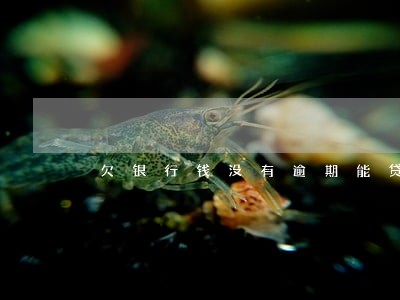 欠银行钱没有逾期能贷款吗 欠银行钱没有逾期能贷款吗