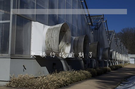 欠银行钱逾期了 欠银行钱逾期了