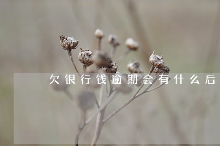 欠银行钱逾期会有什么后果 欠银行钱逾期会有什么后果